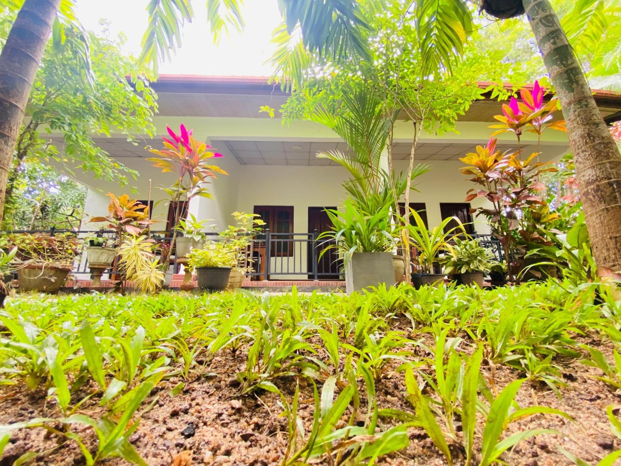 Priyavimana Resort Habarana Kültér fotó