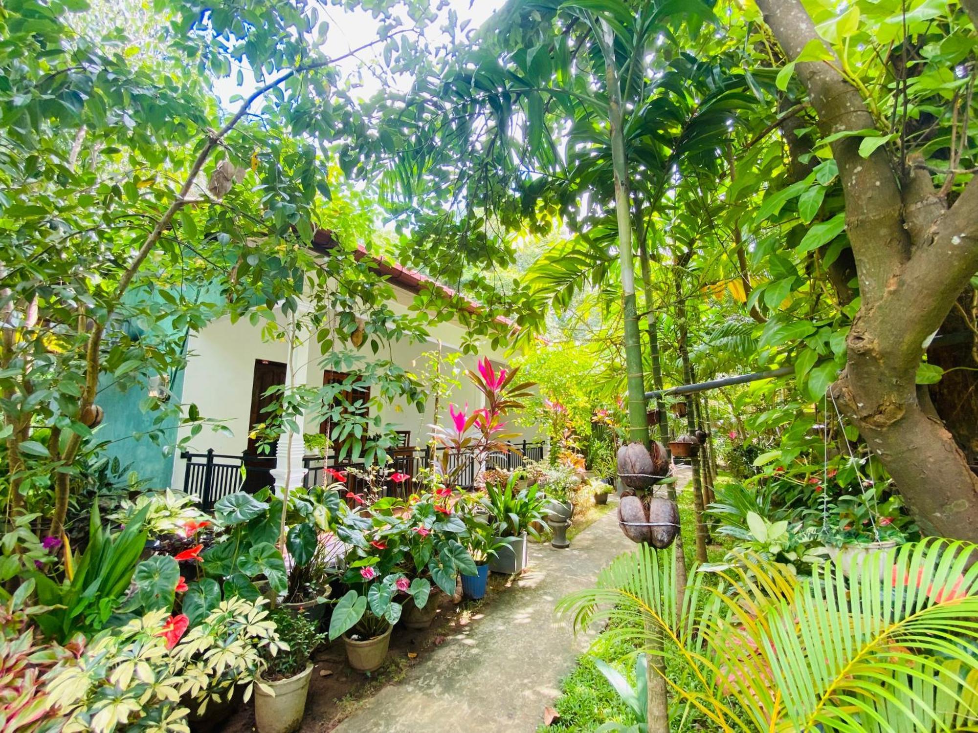 Priyavimana Resort Habarana Kültér fotó