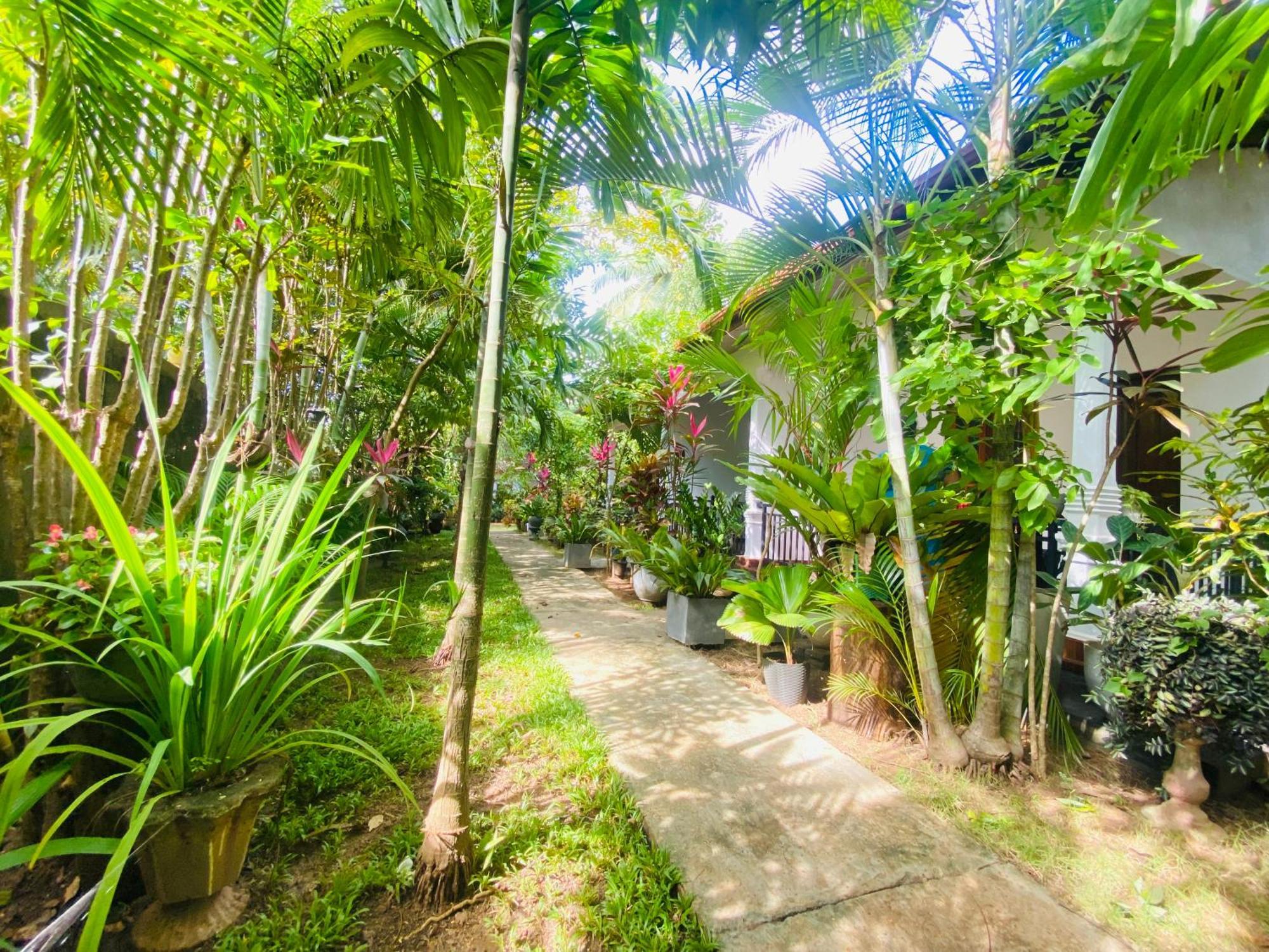 Priyavimana Resort Habarana Kültér fotó