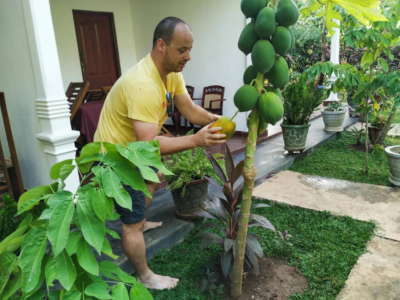 Priyavimana Resort Habarana Kültér fotó