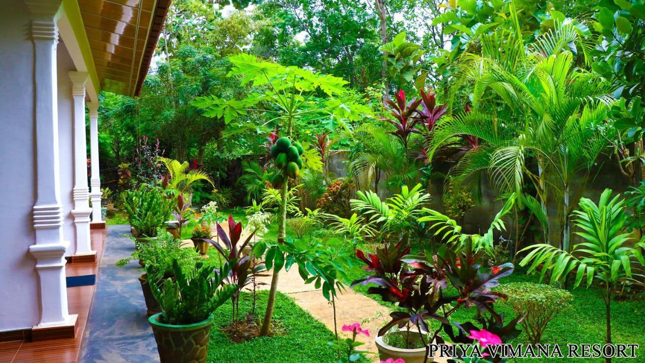 Priyavimana Resort Habarana Kültér fotó