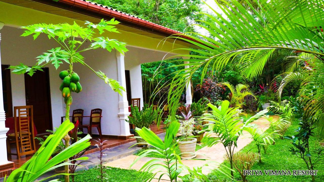 Priyavimana Resort Habarana Kültér fotó